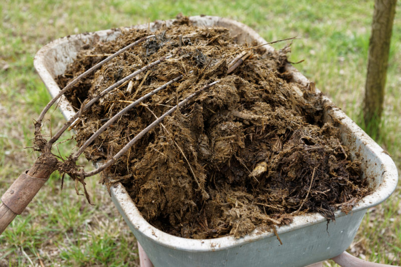How to Improve Your Garden Soil in 6 Steps 4 a wheelbarrow full of well-rotted animal manure to improve garden soil