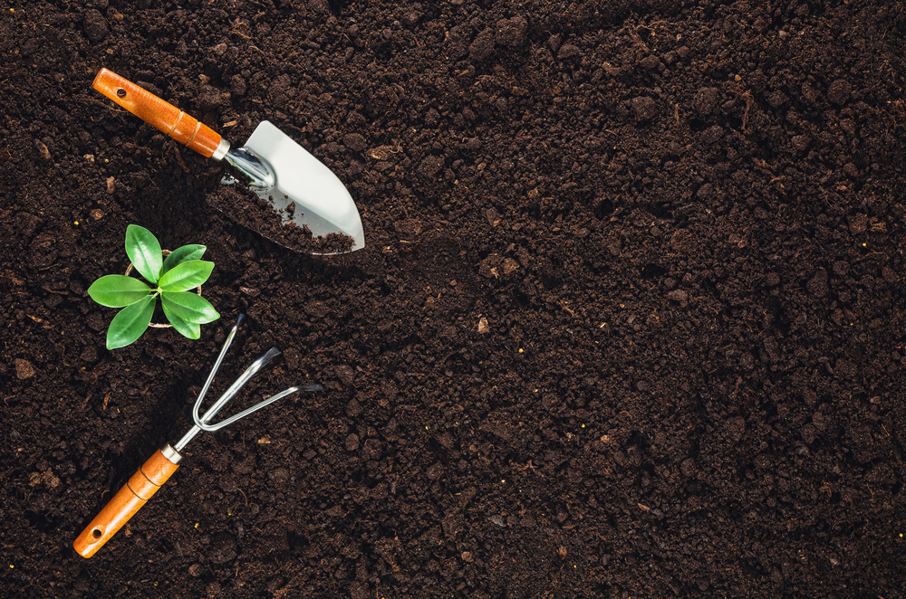 How to Improve Your Garden Soil in 6 Steps 1 a gardening fork and trowel on a background of dark soil