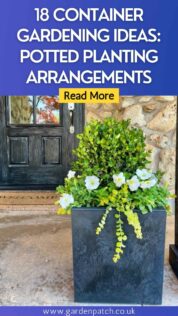18 CONTAINER GARDENING IDEAS POTTED PLANTING ARRANGEMENTS-min