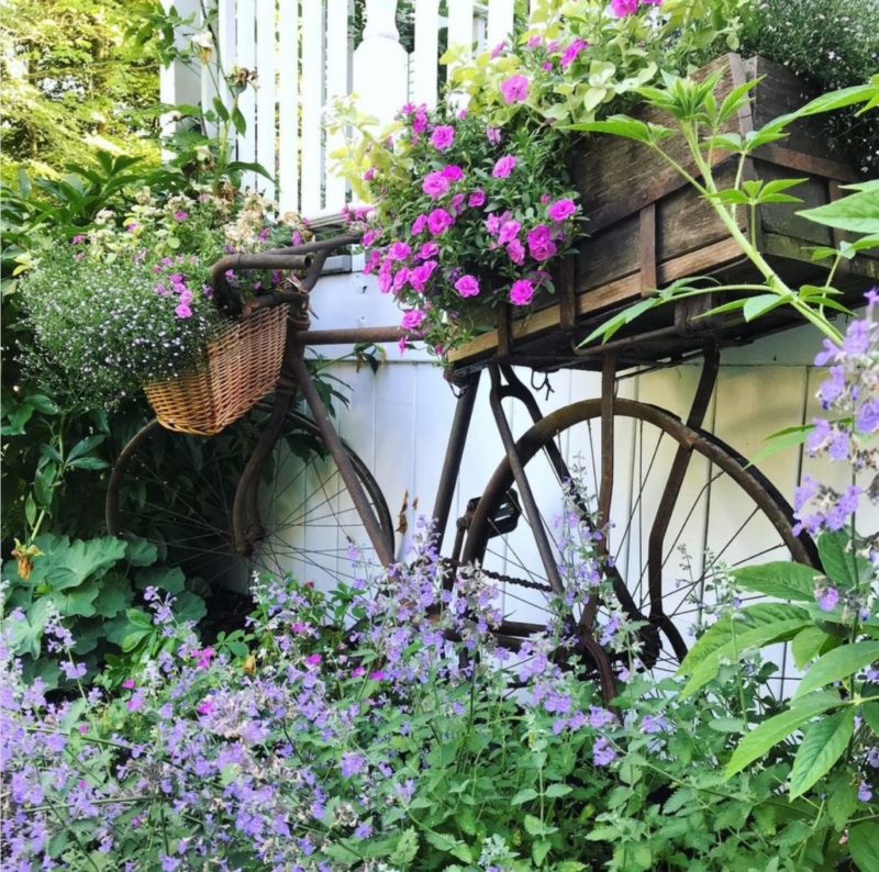 a rusty vintage bicycle with flowers growing in the front and rear baskets