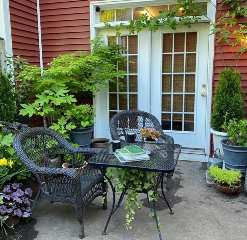 a small patio filled with lots of beautiful non-flowering plants in containers