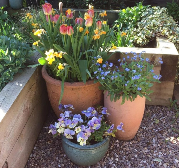 container gardening ideas with planters of different heights with different flowers