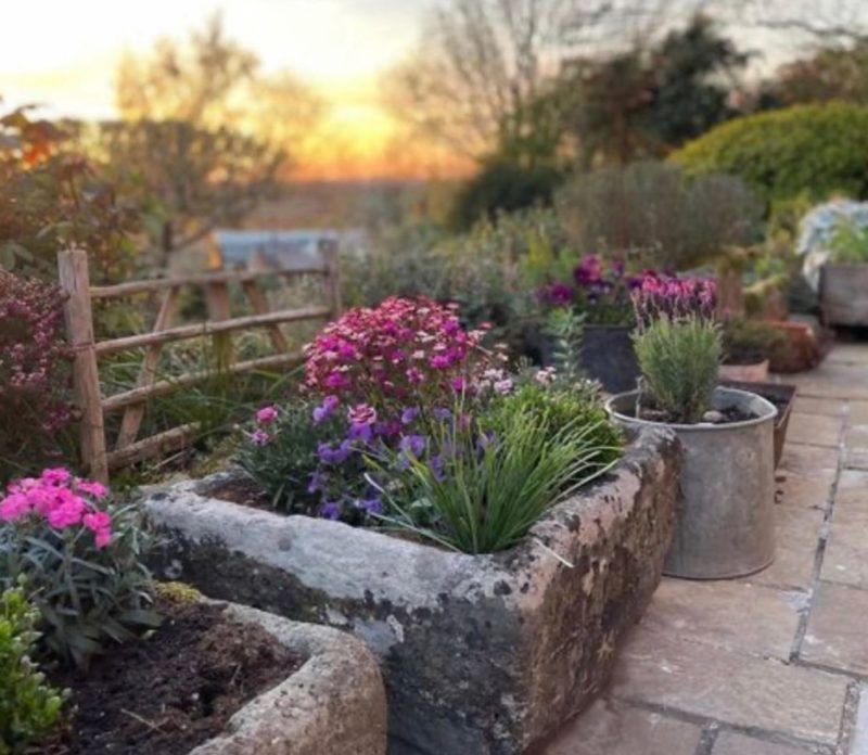 huge stone troughs are used as planters for bright pink flowers
