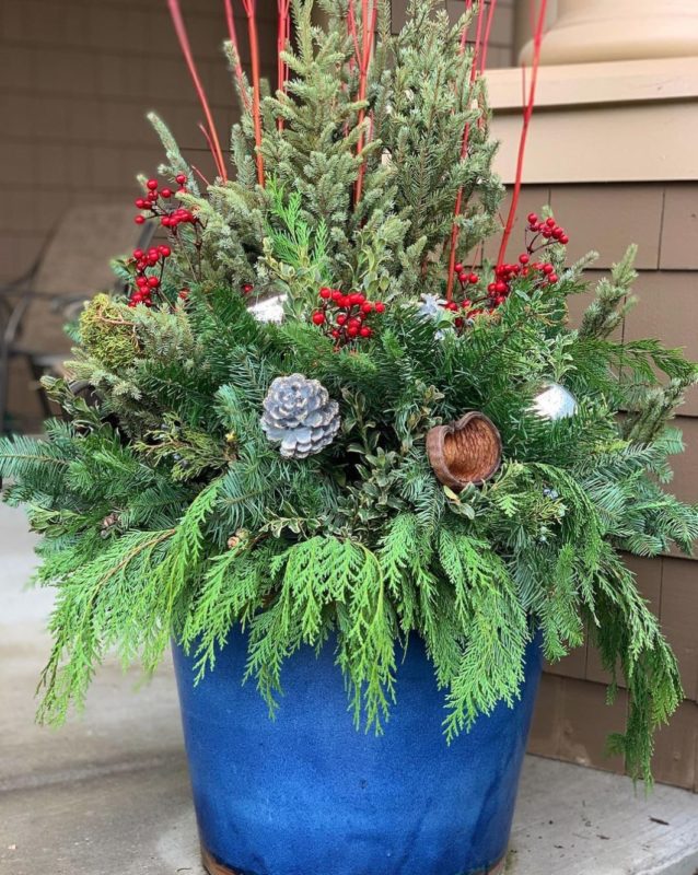a festive looking container garden with red berries, pine cones and conifer fronds