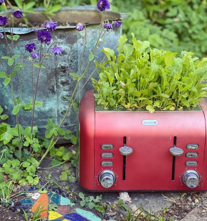 a trendy red toaster is now housing herbs outside