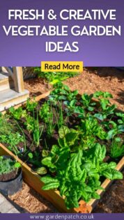 FRESH & CREATIVE VEGETABLE GARDEN IDEAS-min