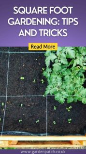 SQUARE FOOT GARDENING TIPS AND TRICKS-min