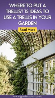 Where to Put a Trellis? 15 Ideas to Use a Trellis in Your Garden 16 WHERE TO PUT A TRELLIS? 15 IDEAS TO USE A TRELLIS IN YOUR GARDEN
