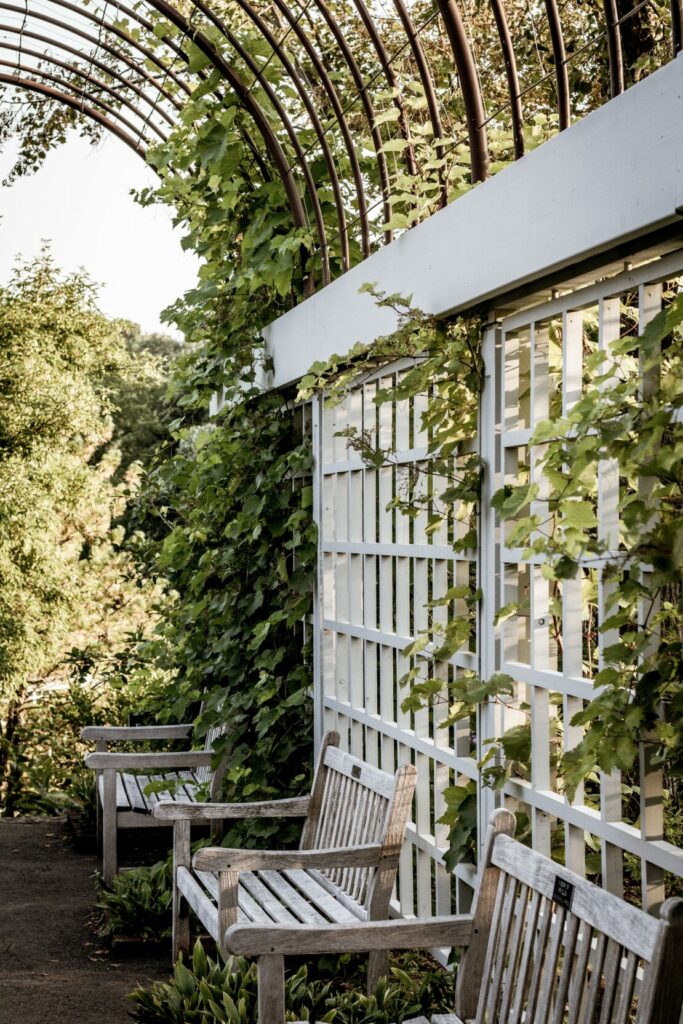 Where to Put a Trellis? 15 Ideas to Use a Trellis in Your Garden 1 Where to Put a Trellis? 15 Ideas to Use a Trellis in Your Garden 1