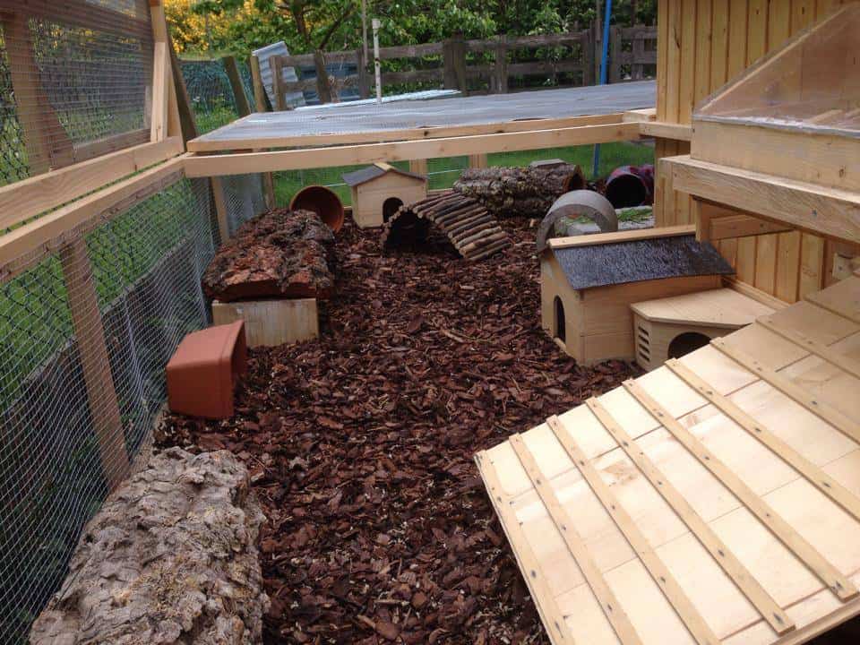 8 Ways to Stop Rabbits from Chewing on Garden Furniture 2 8 Ways to Stop Rabbits from Chewing on Garden Furniture 1