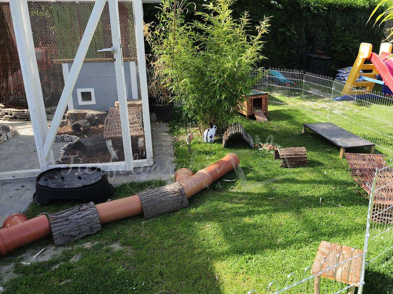 8 Ways to Stop Rabbits from Chewing on Garden Furniture 3 bunnie garden