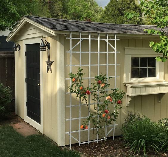Where to Put a Trellis? 15 Ideas to Use a Trellis in Your Garden 11 Trellis on a shed