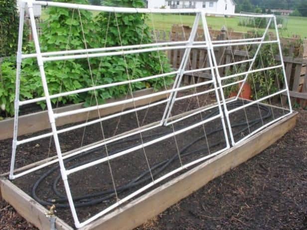 Why Build a Trellis – 7 Easy & Affordable DIY Trellis Ideas 5 PVC pipes trellis