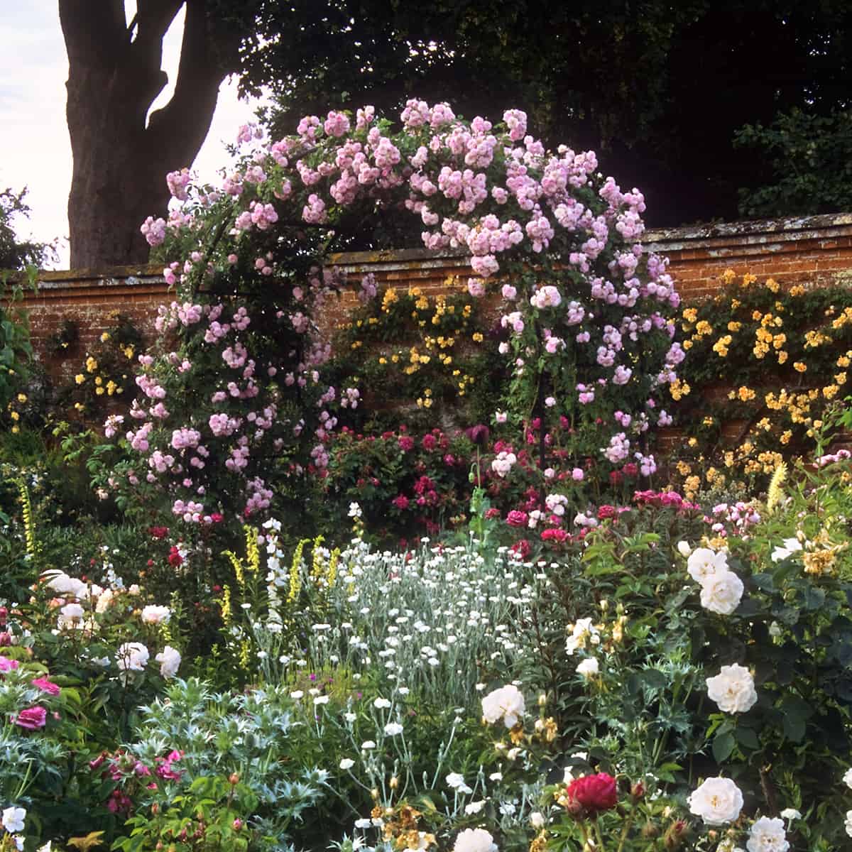 romantic rose garden trellis