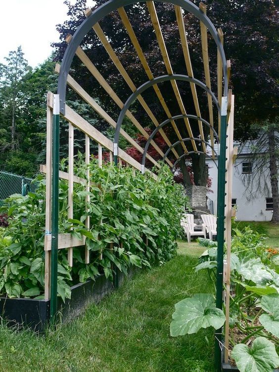 Where to Put a Trellis? 15 Ideas to Use a Trellis in Your Garden 10 Trellis as tunnel
