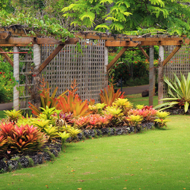 Tropical garden with flowering plants and green lawn with large trellises