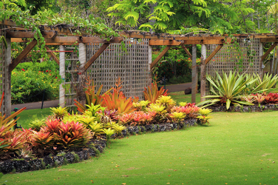 Tropical garden with flowering plants and green lawn with large trellises