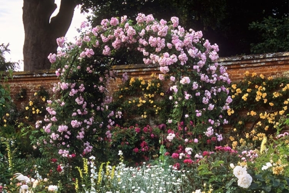 Romantic garden with rose trellis