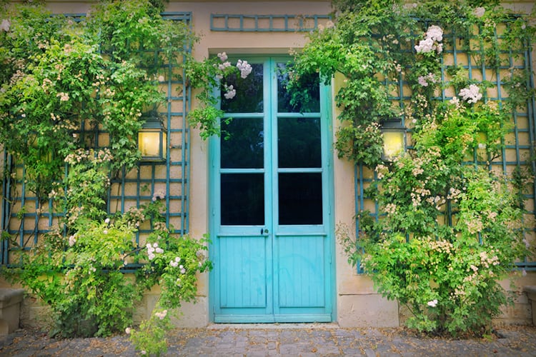 Old door outside with trellis on the sides