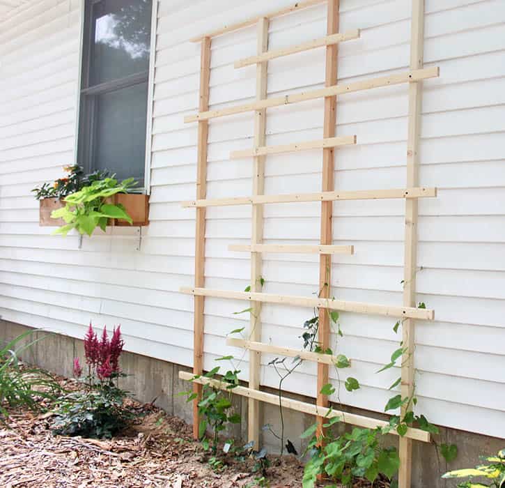 Why Build a Trellis – 7 Easy & Affordable DIY Trellis Ideas 7 Standing wooden trellis