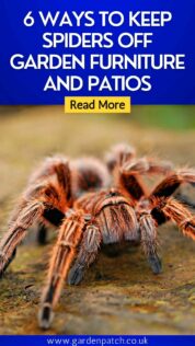 6 Ways to Keep Spiders Off Garden Furniture and Patios 8 6 WAYS TO KEEP SPIDERS OFF GARDEN FURNITURE AND PATIOS-min