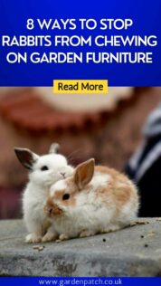 8 Ways to Stop Rabbits from Chewing on Garden Furniture 6 8 WAYS TO STOP RABBITS FROM CHEWING ON GARDEN FURNITURE-min