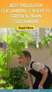 Best Trellis for Cucumbers: 5 Ways to Grow & Train Cucumbers 6 BEST TRELLIS FOR CUCUMBERS 5 WAYS TO GROW & TRAIN CUCUMBERS-min