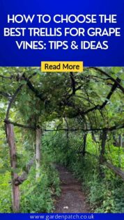 HOW TO CHOOSE THE BEST TRELLIS FOR GRAPE VINES TIPS & IDEAS-min