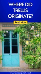 WHERE DID TRELLIS ORIGINATE-min