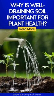 WHY IS WELL-DRAINING SOIL IMPORTANT FOR PLANT HEALTH-min