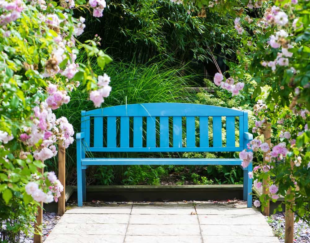 bench in the garden