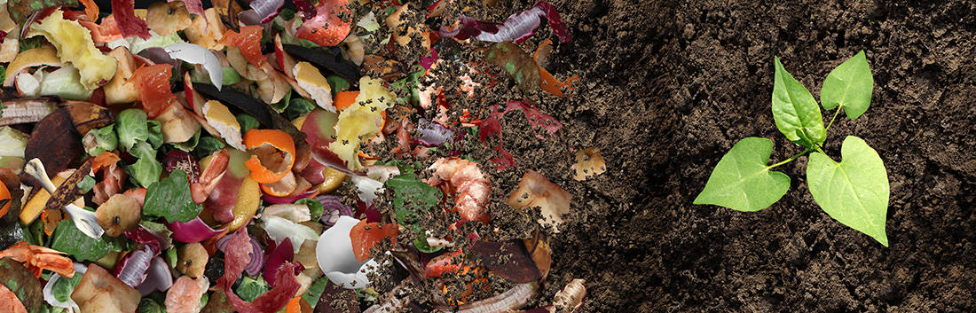 Is Mulch The Same As Compost? 6 compost and soil