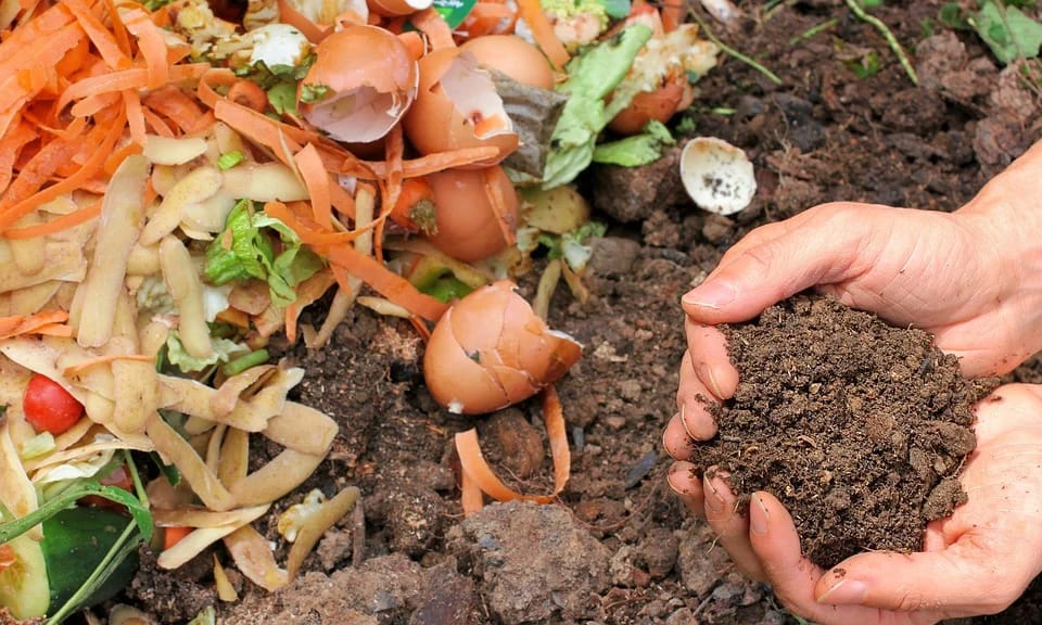 Is Mulch The Same As Compost? 5 compost