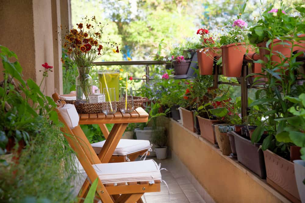 container gardening balcony