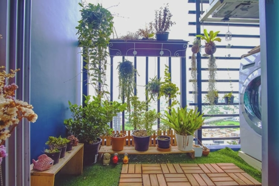 containers raised beds or in ground