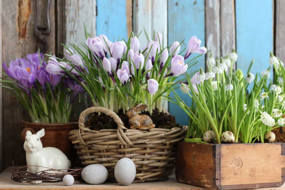 easter composition bunnies and flowers