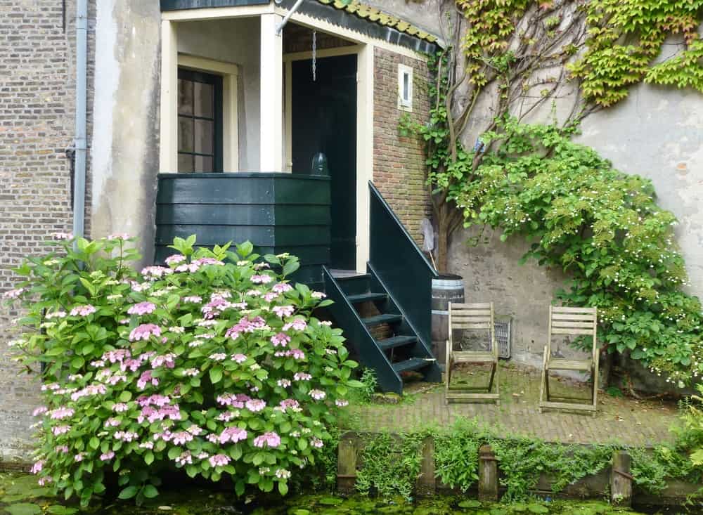 fold up chairs small city garden