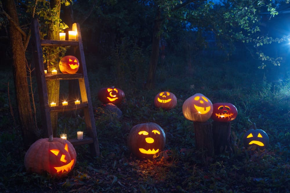 hallowin jack-o-lantern pumpkins outdoor