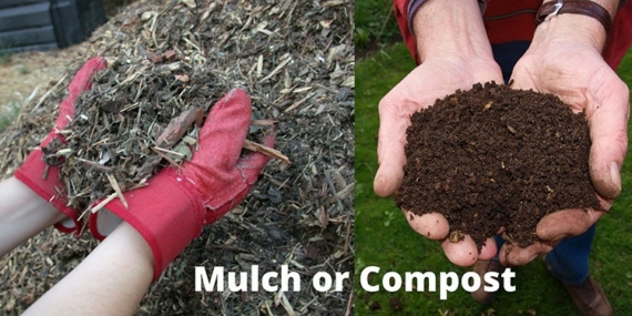 mulch vs compost