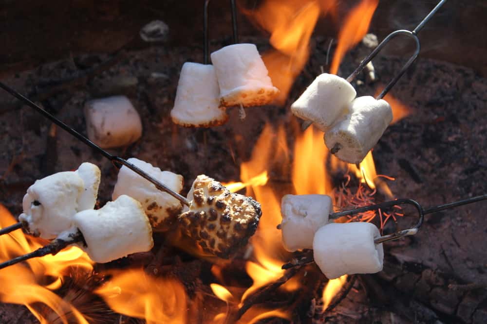 roasting marshmallows fire pit