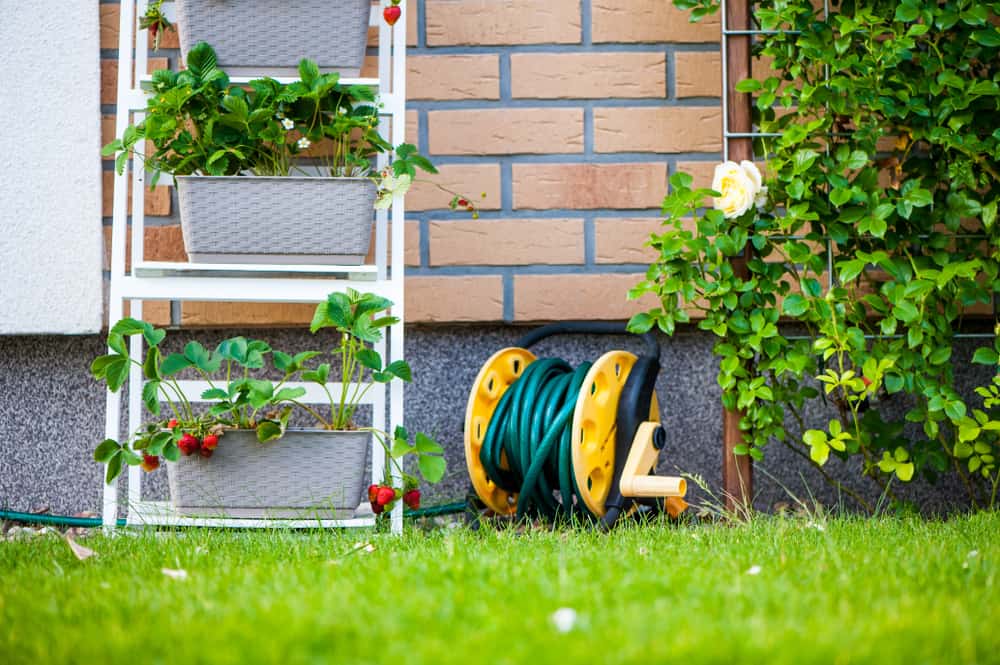 vertical garden bookcase and trellis
