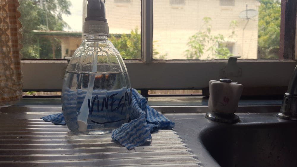 vinegar spray
