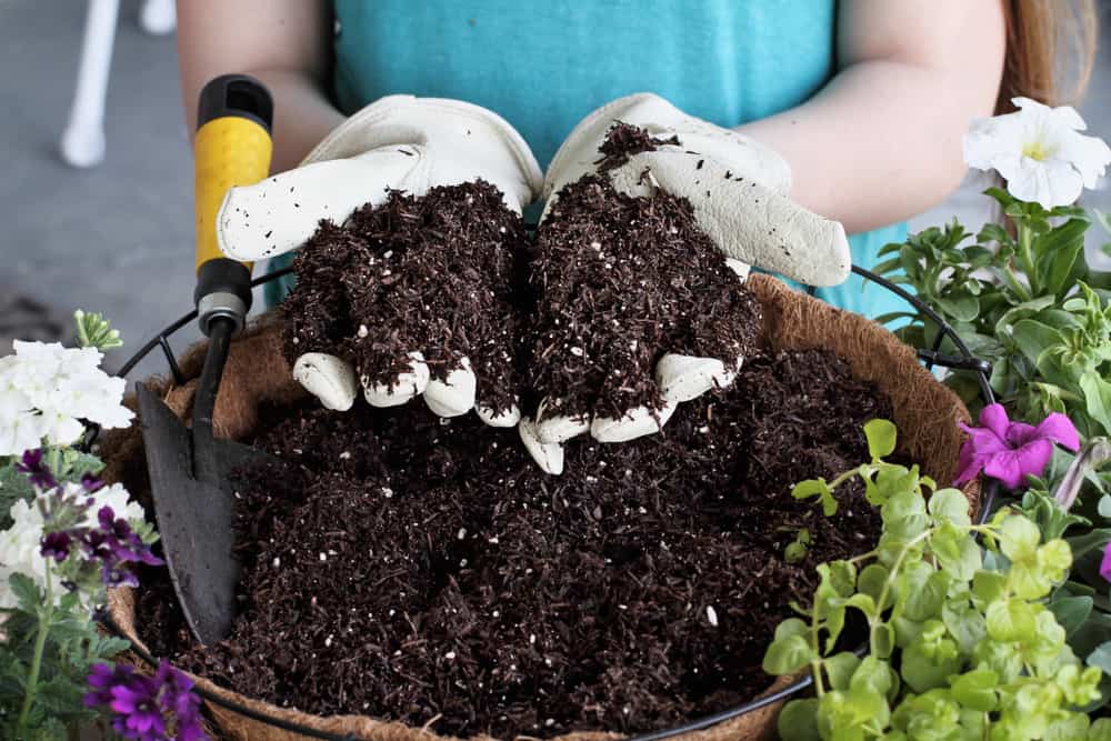 woman holding potting soil over a hanging basket