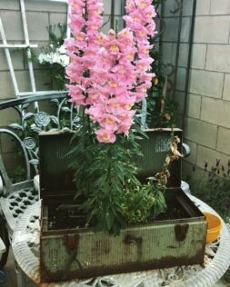 How to Make a DIY Wooden Planter Box the Easy Way 2