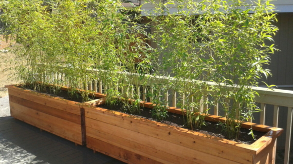 How to Build a Planter Box for Bamboo 1
