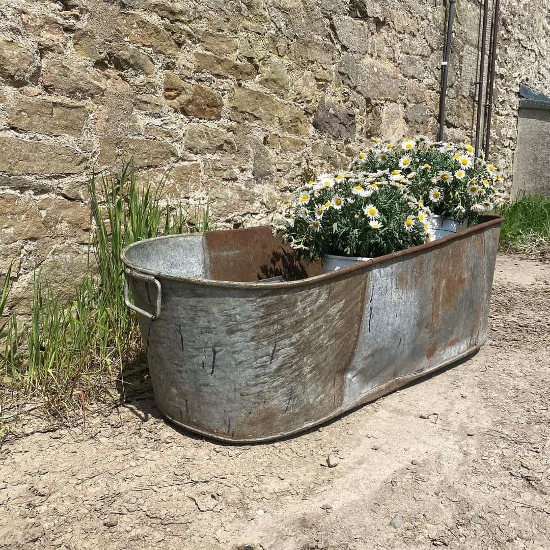 bathtub planter