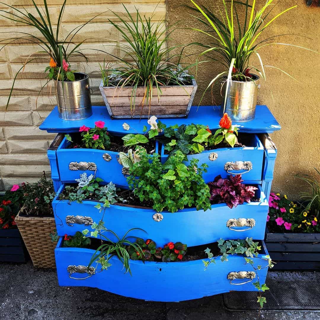 chest of drawers planter box