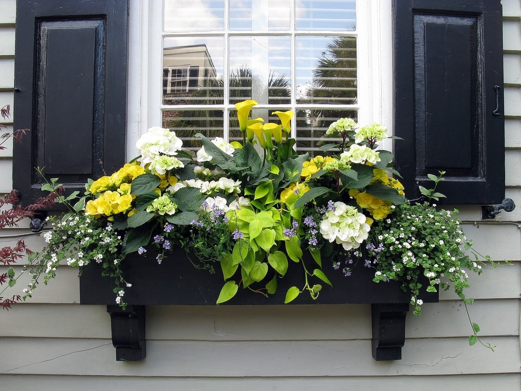 colour coded planter boxes