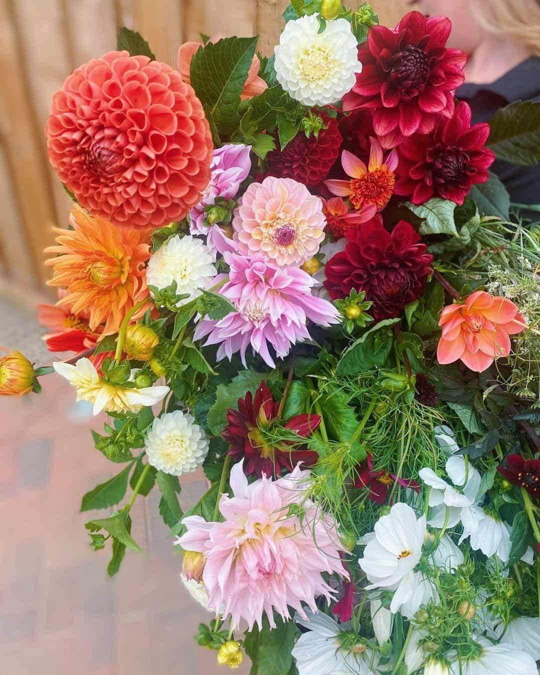 How to Make a Flower Box Bouquet 3 dahlias bouqet flowers