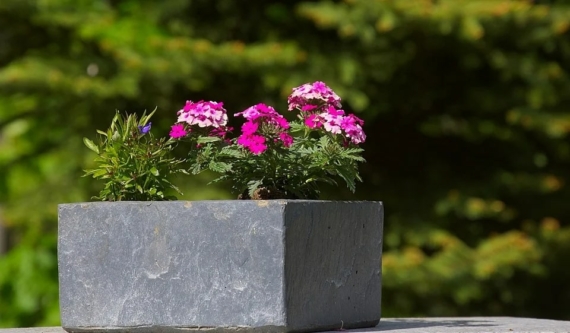diy concrete planter box